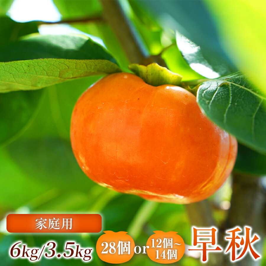 【ふるさと納税】【家庭用】 早秋 柿 1箱 ( 選べる容量 ) 先行予約 令和8年10月中旬順次発送 |【希少柿を贅沢に楽しむ】 柿 早秋 フルーツ 果物 完熟 国産 国産 季節の果物 家庭用 自宅用 加工用 料理用 大容量 岐阜県 本巣郡 北方町