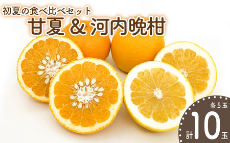 【先行予約】【みかん】 初夏の食べ比べセット～甘夏&河内晩柑～(各5玉) | みかん 柑橘【KK331】