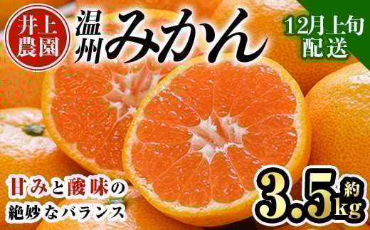＜先行予約受付中！12月上旬より順次発送予定＞数量限定 大分県宇佐市産 温州みかん(約3.5kg)みかん ミカン 蜜柑 柑橘 フルーツ 果物 くだもの 果実 国産【103670400】【井上農園】