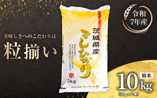 【5月発送】精米 コシヒカリ 10kg 茨城県下妻市産 【 お米 米 白米 ご飯 こめ コシヒカリ 令和7年産 茨城県産 】
