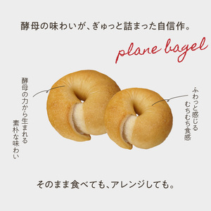 国産小麦＆自家培養酵母100％　酵母ベーグル10個 ベーグルセット プレーン ベーグルパン パンベーグル もちもちベーグル  酵母 ベーグル 065-09