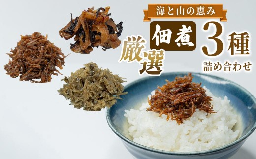 
                  厳選佃煮3種セット 海と山の恵み 3種 【国内産シラスのくぎ煮 65g ほたて貝ひもとキクラゲ 80g 生炊きちりめん山椒 90g】 しらす ほたて 貝ひも キクラゲ ちりめん山椒 ごはんのお供 お酒のおつまみ 小分け
                