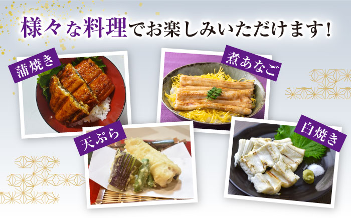 【お中元対象】対馬産 西沖あなご 200g×3パック《対馬市》【保家商事】 あなご 穴子 アナゴ 海鮮 海産物 魚介 [WAA005]