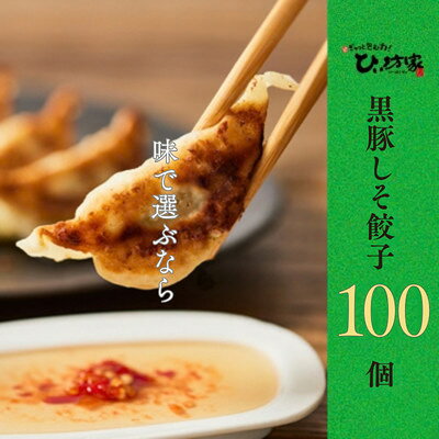 【ふるさと納税】かごしま黒豚しそ餃子100個(タレ付)【配送不可地域：離島】【1787710】