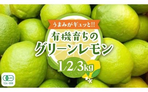 
                  【2026年10月発送開始】 大崎上島産 有機グリーンレモン 【 選べる内容量 】 レモン れもん 檸檬 広島県 グリーン オーガニック JAS認証 有機 柑橘 フルーツ 果物
                