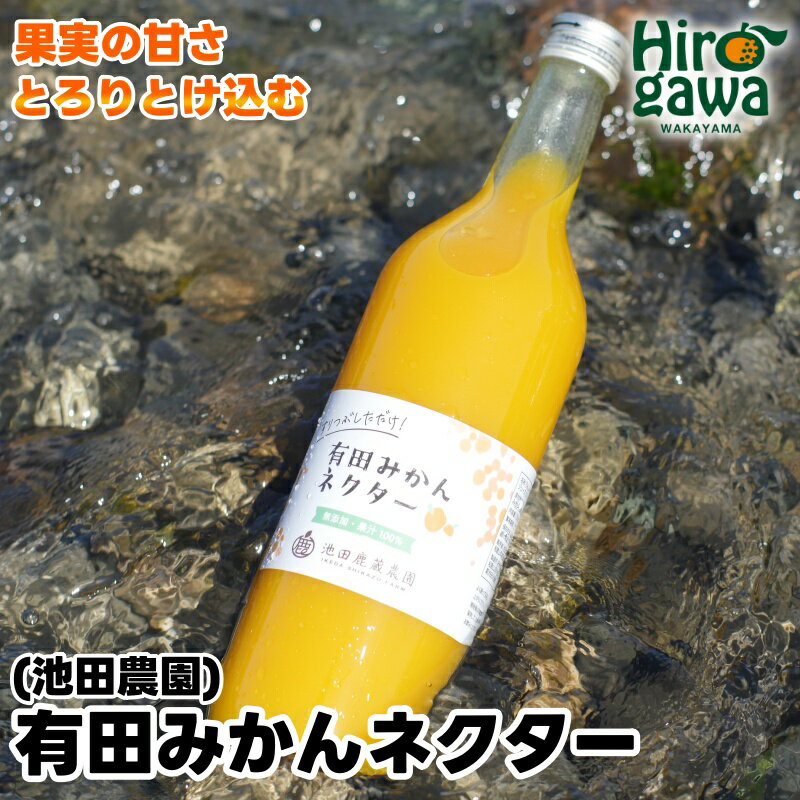 【ふるさと納税】 みかん ネクター 100％ ジュース / 温州みかん 有田みかん 果汁 無添加 柑橘 和歌山 6000円 180ml 720ml ※北海道・沖縄・離島への配送不可 //drink