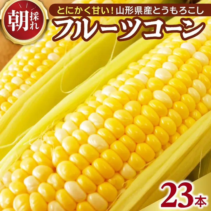 とうもろこし フルーツコーン 23本 令和8年産 とうもろこし
