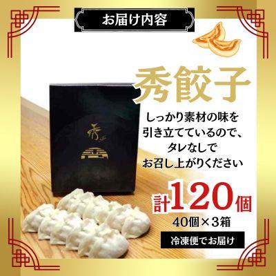 ふるさと納税 磐田市 秀餃子 120個(40×3箱)2.4kg 国産野菜と肉の新鮮さにこだわった本気のぎょうざ 国産 冷凍 |  | 03
