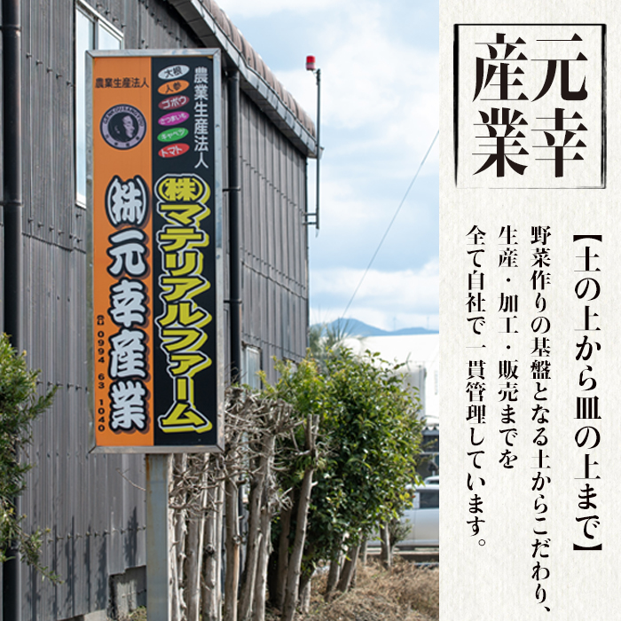 自家農園産かのや紅はるかPREMIUM使用　冷凍焼き芋