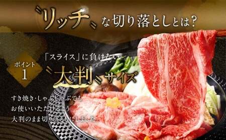 【食べ比べ】 佐賀牛 ＆ 博多和牛 リッチな霜降り 大判 切り落とし 1kg （500g×2）【12月発送】 ／ 2種類 黒毛和牛 和牛 牛肉 お肉 肉 霜降り 九州 福岡県 太宰府市 冷凍