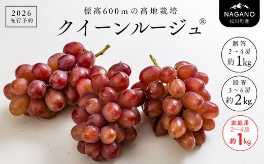 
            【先行予約】 ぶどう クイーンルージュ® 贈答用 or 家庭用 ／ 2026年9月下旬～10月頃 配送予定 // 長野県 南信州 葡萄 ぶどう 新鮮 種なし 希少 甘い ルージュ クインルージュ TK13 TK08 TK20
          