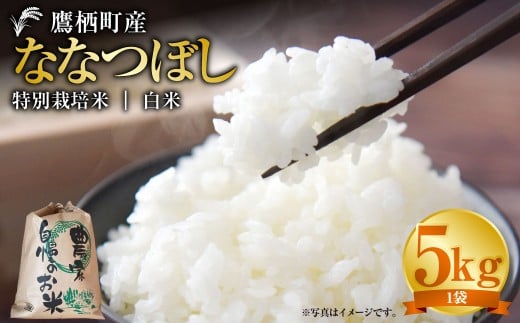 【令和7年産】 ななつぼし （ 白米 ） 5kg 北海道 鷹栖町 たかすタロファーム 米 コメ こめ ご飯 お米