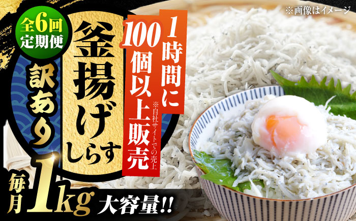 【全6回定期便】【訳あり】しらす 冷凍 シラス 干し 釜揚げ鮮度抜群＆水分率80％!ふわふわ釜揚げしらす 1kg （業務用） 冷凍 シラス 鮮魚 ギフト 海鮮丼 広島県 江田島/三島水産株式会社 [X