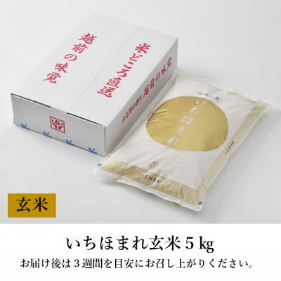 ふるさと納税 あわら市 【令和6年産】いちほまれ 玄米 5kg×1袋《新鮮な高品質米をお届け!》 |  | 03