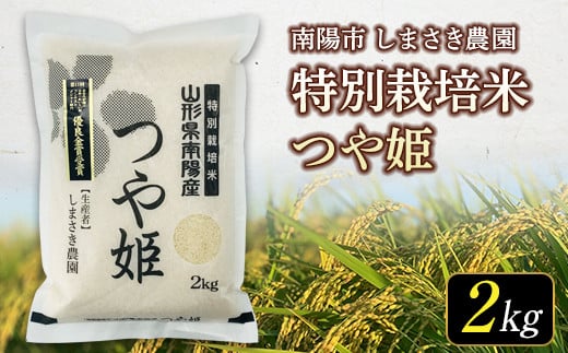 
【米食味コンクール金賞受賞農園】 令和5年産 特別栽培米 つや姫 2kg 《2023年10月中旬より発送予定》 『しまさき農園』 南陽市産 山形県 南陽市 [1567-R5]
