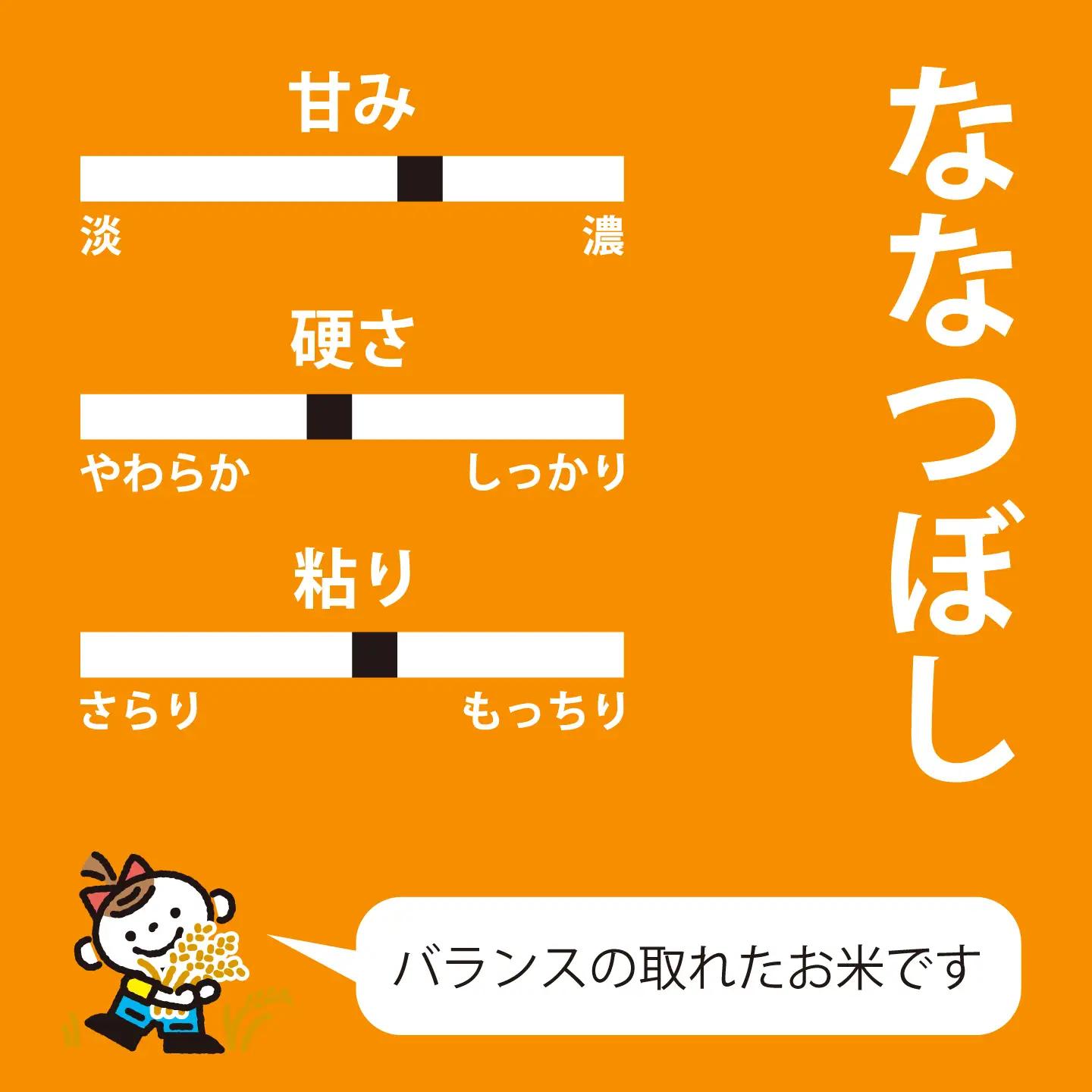 【令和8年産米】令和8年産 特A ななつぼし 10kg 特A米 北海道産 北海道米 長谷川農園 定期便アリ 10kg以上 当麻町【U-004】