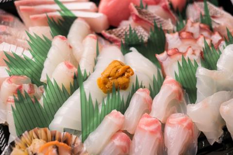 (1409)【定期便】 刺身 新鮮 盛り合わせ 仙崎発旬のお刺身盛合せ2-3人前 3D冷凍 長門市 毎月発送 全3回