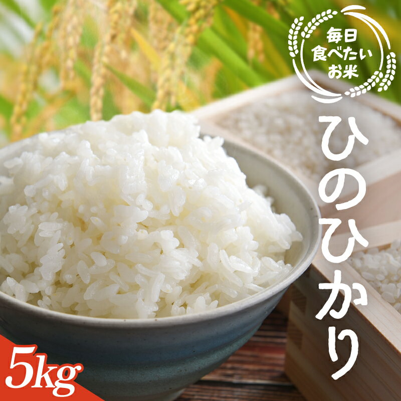 【ふるさと納税】【数量限定】 和歌山県産 ひのひかり (2025年産) 5kg 産地直送 / 米 こめ ひのひかり ご飯 ごはん 白米 弁当 精米 和歌山 国産 厳選