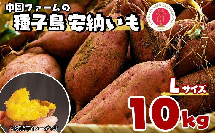 
                  種子島 中園ファーム 種子島 安納いも ( 生いも ) Lサイズ 10kg　NFN060【525pt】 // 安納芋 安納いも発祥の地 本場・安納地域産 糖度 熟成期間 G.I 保護制度 ブランド 金賞 生いも 芋 いも さつまいも
                
