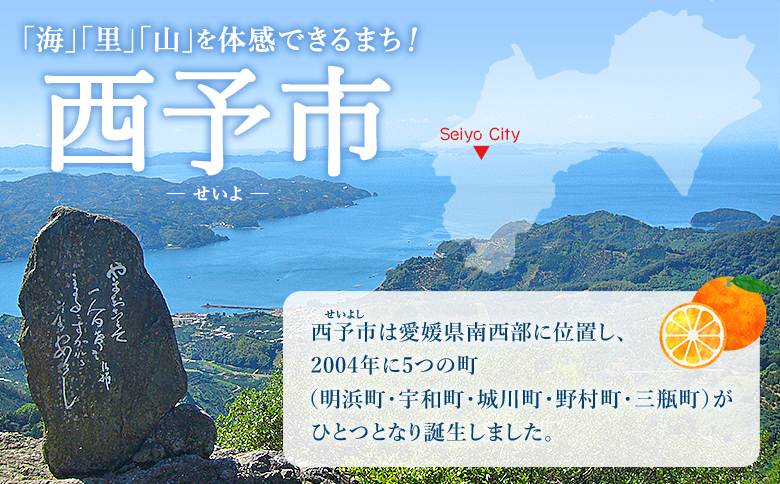 ＜木下さんちの不知火 家庭用 約4kg（大中小混み）＞『2027年3月に順次出荷予定』柑橘 しらぬい でこぽん デコポン ご自宅 みかん ミカン 蜜柑 果物 くだもの フルーツ 果実 特産品 木下農園