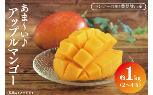 【2025年6月下旬より順次発送】マンゴーの里！豊見城市産♪あま〜い♪アップルマンゴー 約1kg(2〜4玉)(家庭用)｜マンゴー アップルマンゴー フルーツ 果物 くだもの 南国フルーツ 数量限定 先行予約 沖縄県 豊見城市 家庭用 人気 送料無料(BV010)