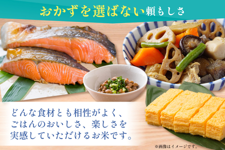 米 無洗米 令和7年 青森県産 青天の霹靂 5kg [わか本米店 青森県 おいらせ町 oi02ayo800008]