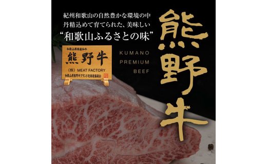 熊野牛 サーロインステーキ 200g×1枚