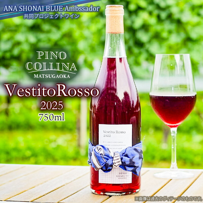 【ふるさと納税】 Vestito Rosso（ベスティート ロッソ）2025 赤ワイン 750ml　ピノ・コッリーナ　株式会社エルサン SDGs未来都市鶴岡