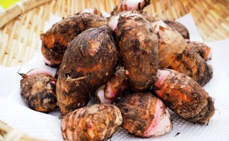 里芋 ねっとりもちもち 小郡産の里芋 赤芽大吉 5kg ふくおかエコ農産物認証 ゆうき自然農場 野菜 芋 