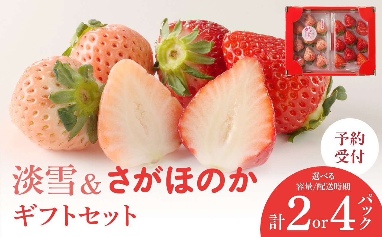 
            【配送時期が選べる】★予約受付★杉山いちご農園 白いちご「淡雪（あわゆき）」と「さがほのか」ギフトセット　2025年12月～5月中に順次配送 ／ 食べ比べ 白イチゴ 苺 いちご 希少 品種 果物 フルーツ 甘い 旬 果実 農産物 国産 数量限定 期間限定 先行予約 予約受付 佐賀県 玄海町 冷蔵
          