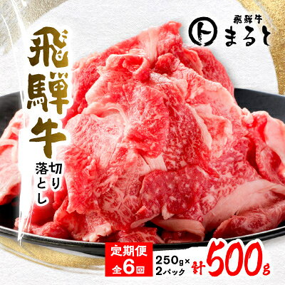 【ふるさと納税】【毎月定期便】飛騨牛　切り落とし250g×2パック　すきやき・しゃぶしゃぶ・牛丼など全6回_ 牛肉 飛騨牛 すき焼き 切落し 肉 お肉 切り落とし 薄切り すきやき 黒毛和牛 養老町 まると 【配送不可地域：離島】【4085696】