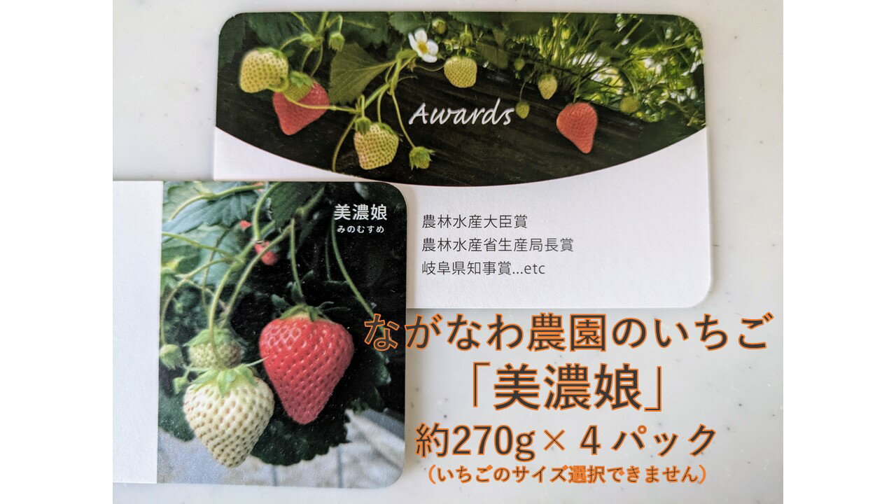 【ふるさと納税】（予約）ながなわ農園のいちご「美濃娘」約270g×4パック