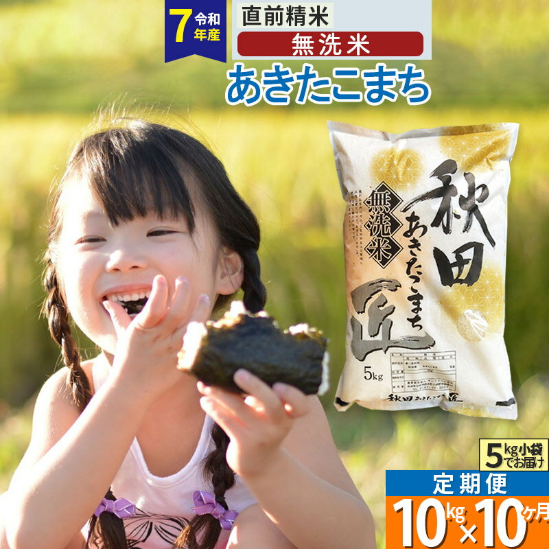 【ふるさと納税】【無洗米】※R7※《定期便10ヶ月》秋田県産 あきたこまち 10kg (5kg×2袋) ×10回 令和7年産 お米 匠