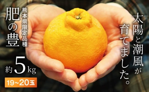 S110-001_熊本県天草産　肥の豊５kg　2Lサイズ〈先行予約〉