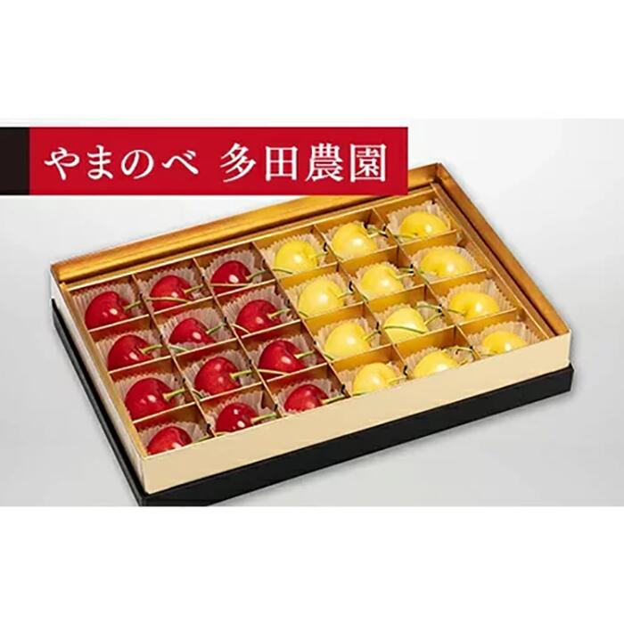 【ふるさと納税】《2026年先行予約》【珠玉の月山錦・紅秀峰】みやび箱 24粒【やまのべ多田耕太郎のさくらんぼ 多田農園】期間限定 数量限定 山形県産 サクランボ フルーツ 果物 くだもの 贈答 F4A-0028