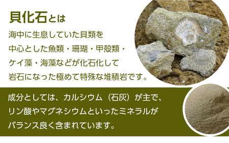 肥料 貝化石 20kg 1袋 土壌 改良 ミネラル 環境 【2024年4月以降発送】