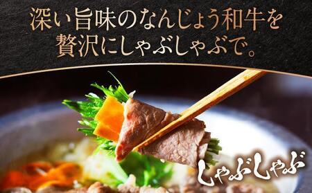 《極上の味わい》和牛しゃぶしゃぶ用 200g×8パック 合計1600g なんじょう和牛|黒毛和牛 しゃぶしゃぶ 牛肉 沖縄県 南城市 送料無料【TM0104】
