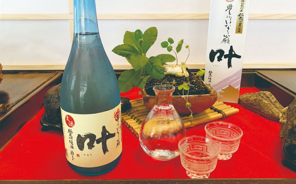 料理旅館吞龍ペアご宿泊券
