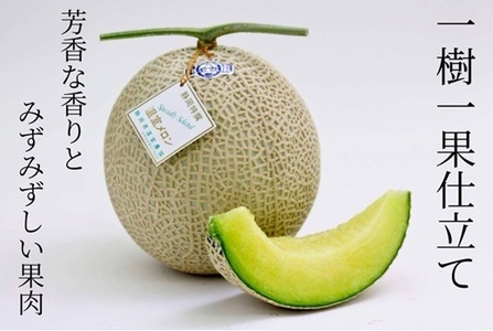 アローマメロン　白 【メロン】