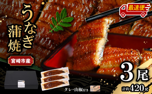 【最速便】【日時指定可能】宮崎県宮崎市産　うなぎの蒲焼　約420g（約140g×3尾）タレ・山椒セット_M325-003-2W
