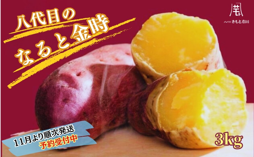 
            【予約受付中・2025年11月頃より順次発送】【木元農園】八代目の なると金時 約3kg | さつまいも 鳴門金時 熟成 国産 スイーツ 焼き芋 干し芋 味噌汁 天ぷら サラダ スープ
          