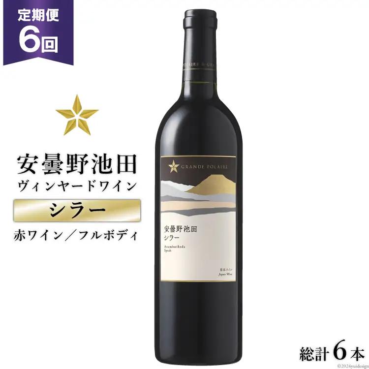 定期便 6回 赤ワイン サッポロ グランポレール 安曇野池田ヴィンヤード「シラー」750ml 総計 6本