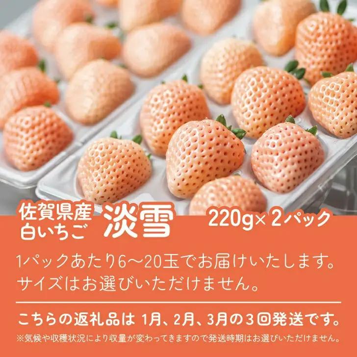 先行受付開始！【定期便3回】希少価値 佐賀県産 いちご 淡雪 220g（6玉～20玉）×2パック 2027年1~3月発送：B395-008
