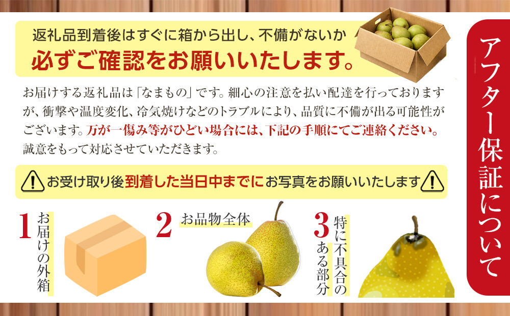 【先行予約】旭川産千両梨4kg(2026年10月中旬発送開始予定)_05721