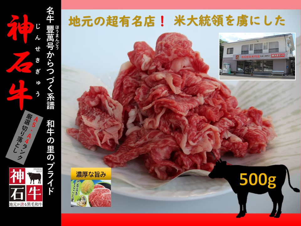
            広島県神石高原町産神石牛（500ｇ）※寄付金の使い道を選択メニューにて「地域再生プロジェクト」を選択してください。
          