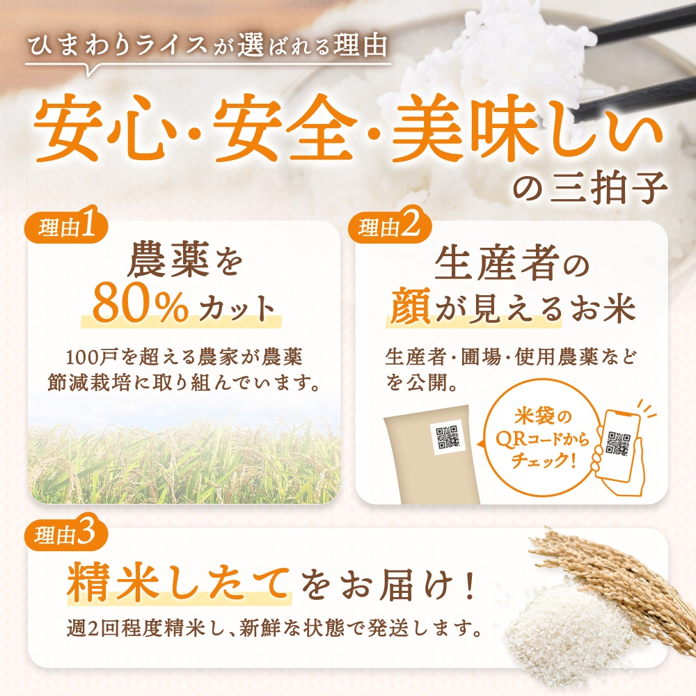 令和8年産 きたくりん 6合(900g)  新米 お米 ごはん 農薬節減栽培 北海道米 少量 お試し【sun400-kita-r0d9-R8A】