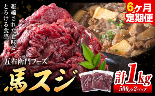 馬肉 馬スジ 500g × 2パック 6kg 6ヶ月定期便 五右衛門フーズ 《お申込み月の翌月から出荷開始》 熊本県 球磨郡 山江村 馬肉 肉 国産 スジ カレー 煮込み おでん おかず 送料無料