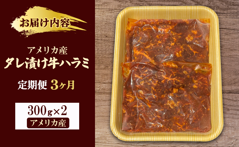 【3か月定期便】アメリカ産タレ漬け牛ハラミ　300g×2 | 牛肉 焼肉 焼き肉 アウトドア BBQ