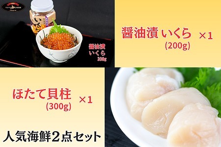 [12月10日決済分まで年内配送]【北海道根室産】海鮮2点セット C-66022
