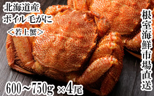 D-11063 ボイル毛がに600～750g×4尾(若上蟹)